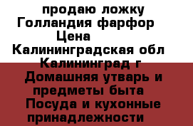 продаю ложку Голландия фарфор  › Цена ­ 250 - Калининградская обл., Калининград г. Домашняя утварь и предметы быта » Посуда и кухонные принадлежности   